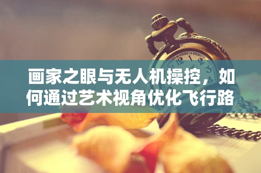 画家之眼与无人机操控，如何通过艺术视角优化飞行路径？