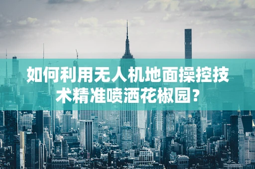 如何利用无人机地面操控技术精准喷洒花椒园？