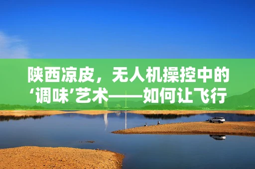 陕西凉皮，无人机操控中的‘调味’艺术——如何让飞行更‘入味’？