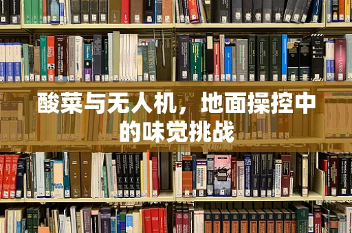 酸菜与无人机，地面操控中的味觉挑战
