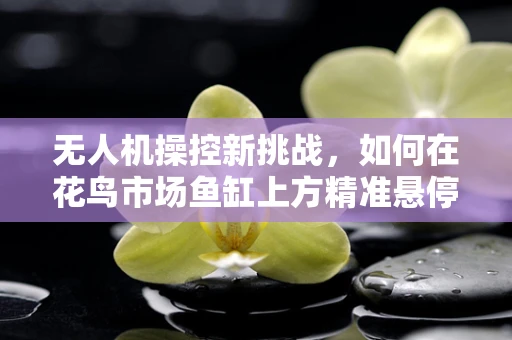 无人机操控新挑战，如何在花鸟市场鱼缸上方精准悬停？