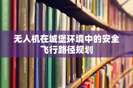 无人机在城堡环境中的安全飞行路径规划