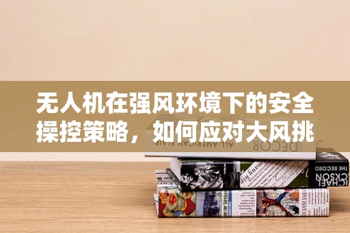 无人机在强风环境下的安全操控策略，如何应对大风挑战？