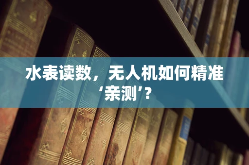 水表读数，无人机如何精准‘亲测’？