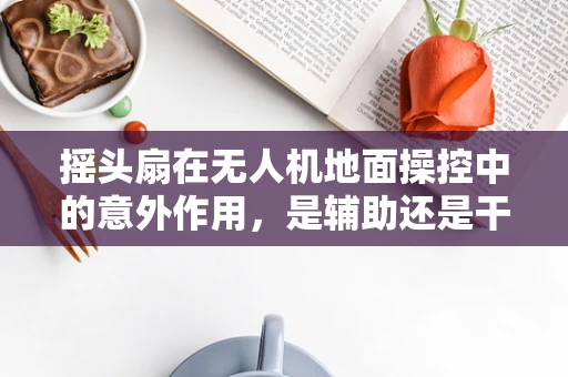 摇头扇在无人机地面操控中的意外作用，是辅助还是干扰？