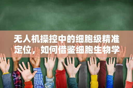 无人机操控中的细胞级精准定位，如何借鉴细胞生物学原理提升地面站导航精度？
