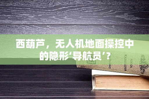 西葫芦，无人机地面操控中的隐形‘导航员’？