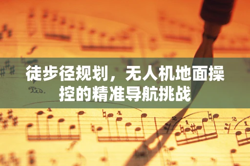 徒步径规划，无人机地面操控的精准导航挑战
