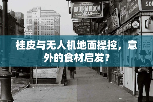 桂皮与无人机地面操控，意外的食材启发？