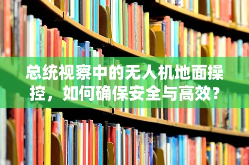 总统视察中的无人机地面操控，如何确保安全与高效？