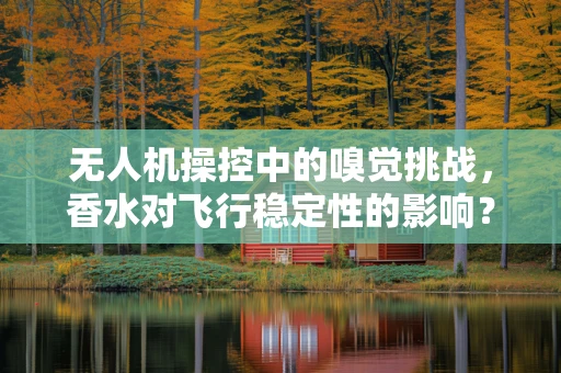 无人机操控中的嗅觉挑战，香水对飞行稳定性的影响？