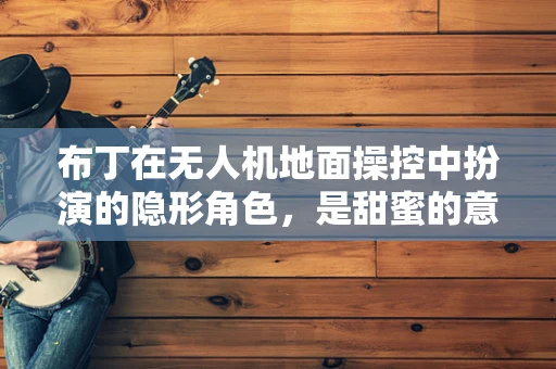 布丁在无人机地面操控中扮演的隐形角色，是甜蜜的意外还是技术创新的契机？
