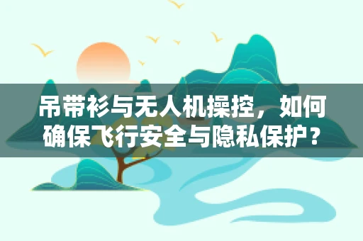 吊带衫与无人机操控，如何确保飞行安全与隐私保护？