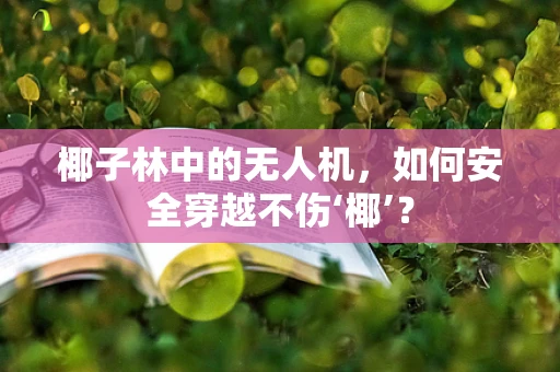 椰子林中的无人机，如何安全穿越不伤‘椰’？