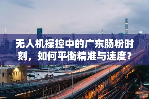 无人机操控中的广东肠粉时刻，如何平衡精准与速度？