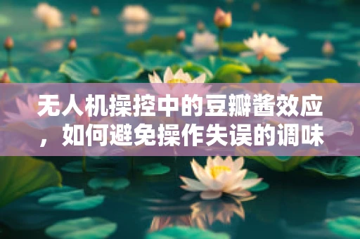 无人机操控中的豆瓣酱效应，如何避免操作失误的调味