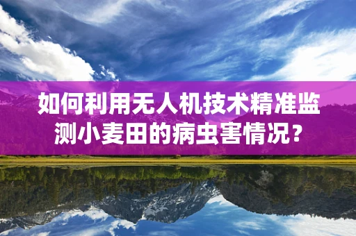 如何利用无人机技术精准监测小麦田的病虫害情况？
