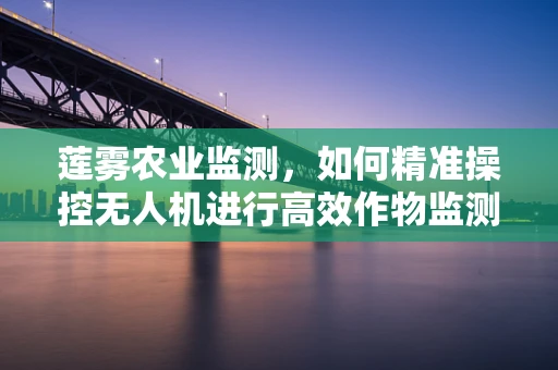莲雾农业监测，如何精准操控无人机进行高效作物监测？