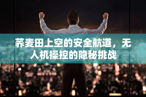 荞麦田上空的安全航道，无人机操控的隐秘挑战