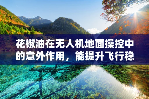 花椒油在无人机地面操控中的意外作用，能提升飞行稳定性吗？