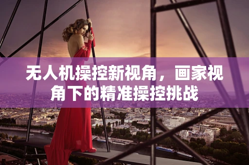 无人机操控新视角，画家视角下的精准操控挑战