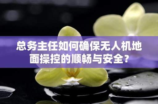 总务主任如何确保无人机地面操控的顺畅与安全？