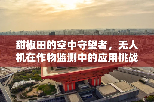 甜椒田的空中守望者，无人机在作物监测中的应用挑战