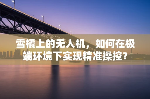 雪橇上的无人机，如何在极端环境下实现精准操控？