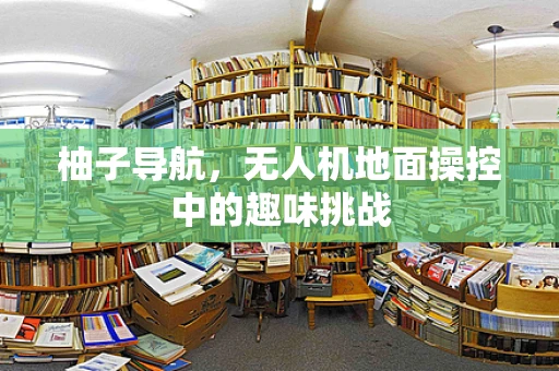 柚子导航，无人机地面操控中的趣味挑战