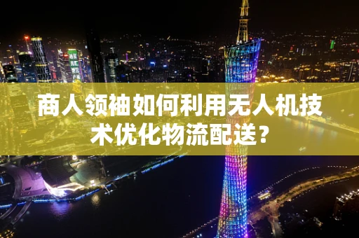 商人领袖如何利用无人机技术优化物流配送？