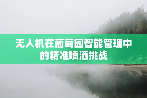 无人机在葡萄园智能管理中的精准喷洒挑战