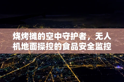 烧烤摊的空中守护者，无人机地面操控的食品安全监控挑战