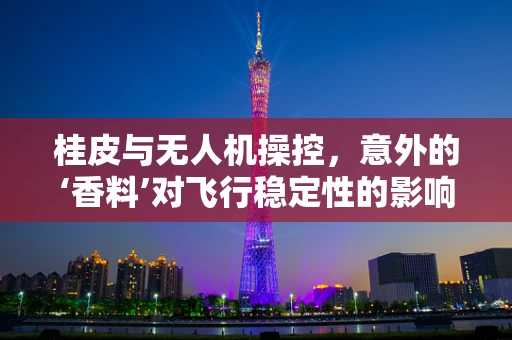 桂皮与无人机操控，意外的‘香料’对飞行稳定性的影响？