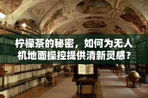 柠檬茶的秘密，如何为无人机地面操控提供清新灵感？