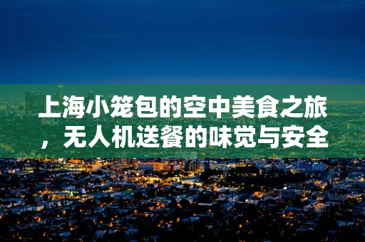 上海小笼包的空中美食之旅，无人机送餐的味觉与安全平衡