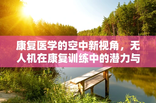 康复医学的空中新视角，无人机在康复训练中的潜力与挑战