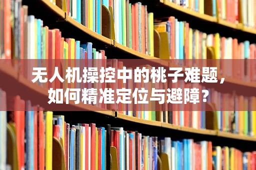 无人机操控中的桃子难题，如何精准定位与避障？