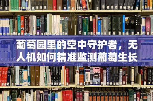葡萄园里的空中守护者，无人机如何精准监测葡萄生长？