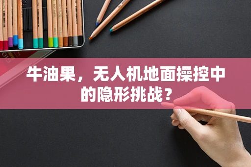 牛油果，无人机地面操控中的隐形挑战？