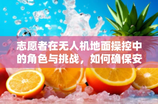 志愿者在无人机地面操控中的角色与挑战，如何确保安全与效率？