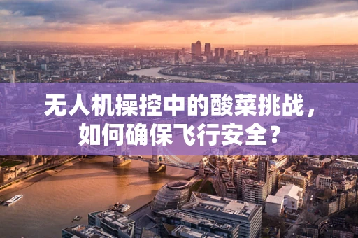 无人机操控中的酸菜挑战，如何确保飞行安全？