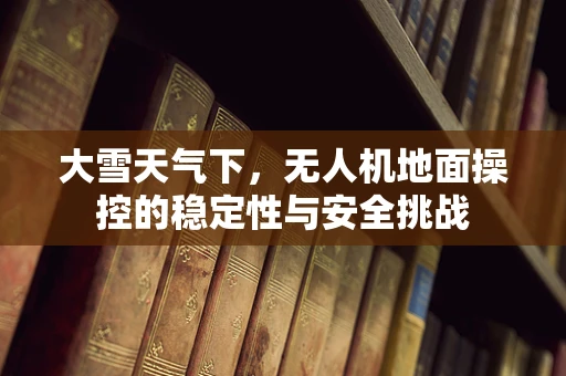 大雪天气下，无人机地面操控的稳定性与安全挑战