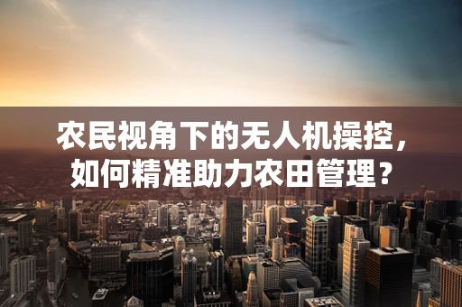 农民视角下的无人机操控，如何精准助力农田管理？