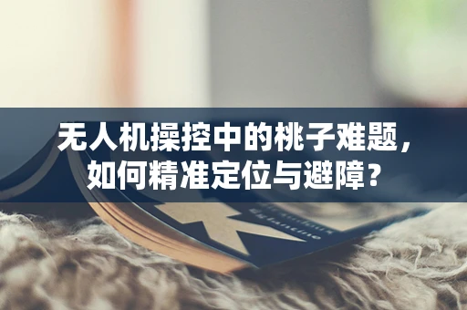无人机操控中的桃子难题，如何精准定位与避障？