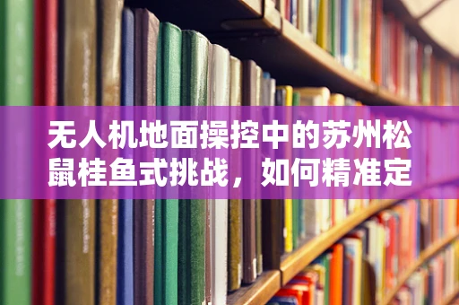 无人机地面操控中的苏州松鼠桂鱼式挑战，如何精准定位与避障？