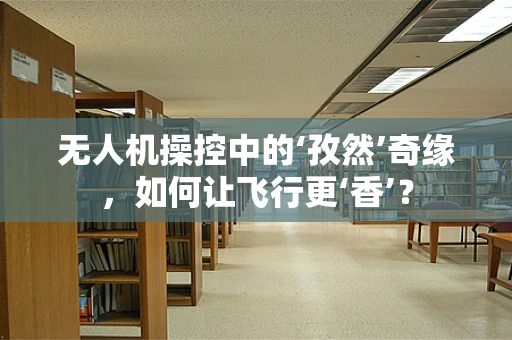 无人机操控中的‘孜然’奇缘，如何让飞行更‘香’？