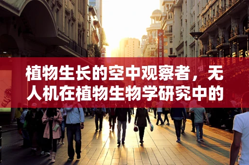 植物生长的空中观察者，无人机在植物生物学研究中的精准操控挑战