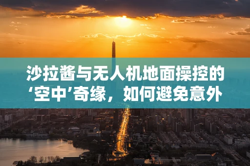 沙拉酱与无人机地面操控的‘空中’奇缘，如何避免意外喷洒？