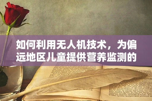 如何利用无人机技术，为偏远地区儿童提供营养监测的空中之眼？