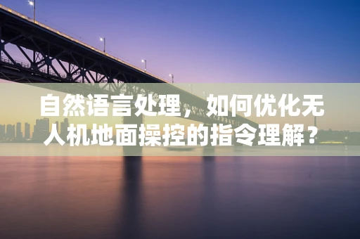 自然语言处理，如何优化无人机地面操控的指令理解？